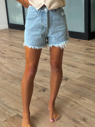 Conley Denim Shorts | Medium Wash | +Plus Available