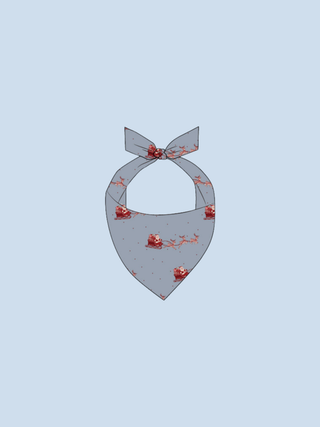 Dashing Through Pet Bandana | PREORDER